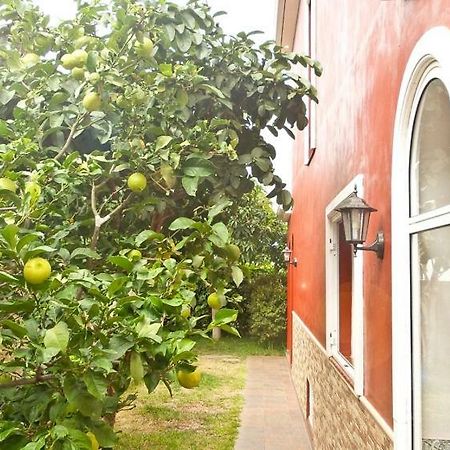 Casa Buganvilla Los Realejos Bagian luar foto