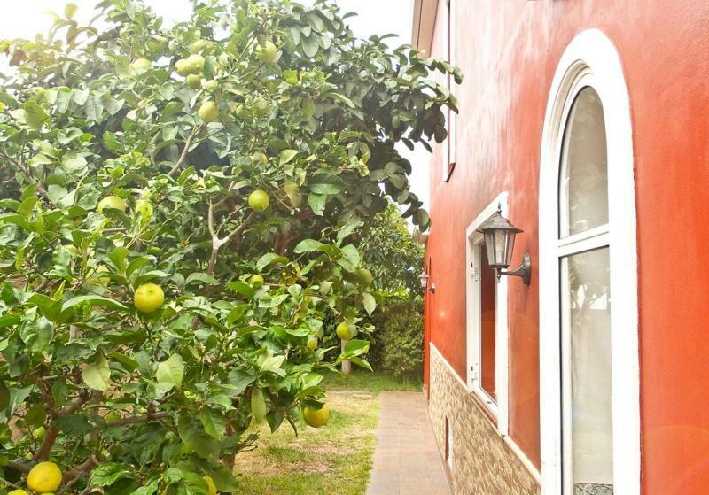 Casa Buganvilla Los Realejos Bagian luar foto